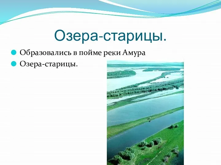 Озера-старицы. Образовались в пойме реки Амура Озера-старицы.