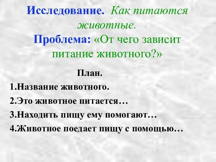 Исследование. Как питаются животные. Проблема: «От чего зависит питание животного?» План.