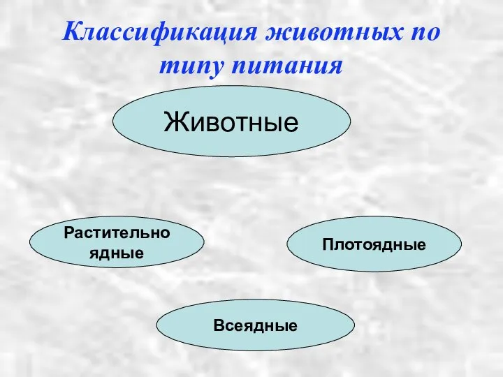 Классификация животных по типу питания Животные Растительноядные Плотоядные Всеядные