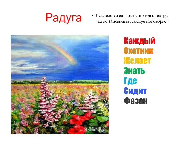 Радуга Последовательность цветов спектра легко запомнить, следуя поговорке: Каждый Охотник Желает Знать Где Сидит Фазан