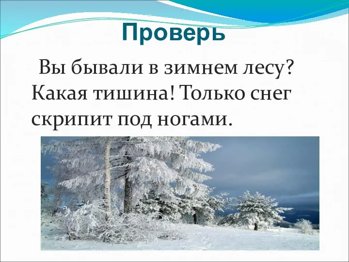 Проверь Вы бывали в зимнем лесу? Какая тишина! Только снег скрипит под ногами.