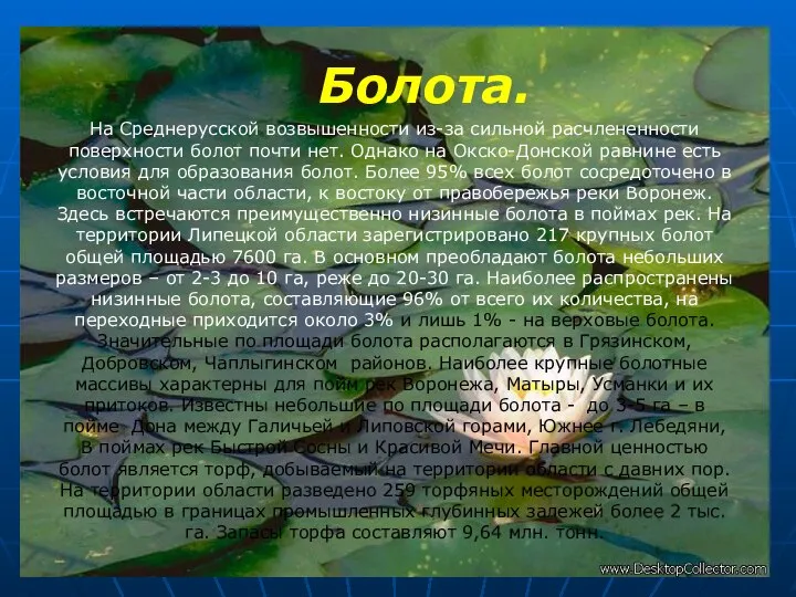 Болота. На Среднерусской возвышенности из-за сильной расчлененности поверхности болот почти нет.