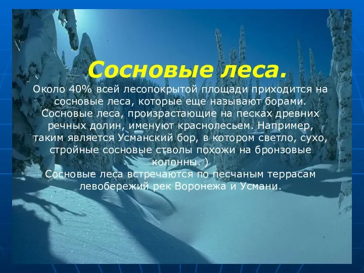 Сосновые леса. Около 40% всей лесопокрытой площади приходится на сосно­вые леса,