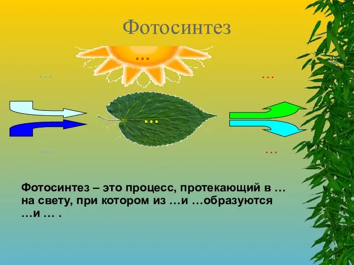 Фотосинтез Фотосинтез – это процесс, протекающий в … на свету, при