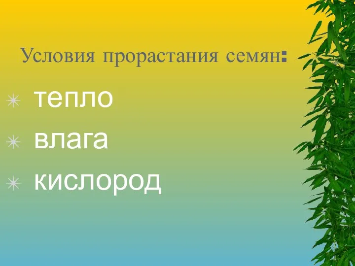 Условия прорастания семян: тепло влага кислород