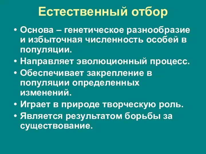 Естественный отбор Основа – генетическое разнообразие и избыточная численность особей в