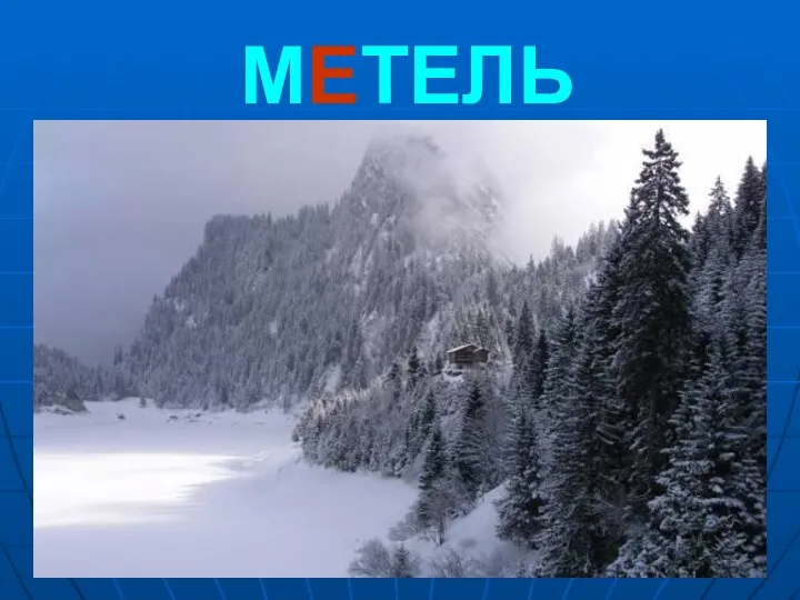 МЕТЕЛЬ