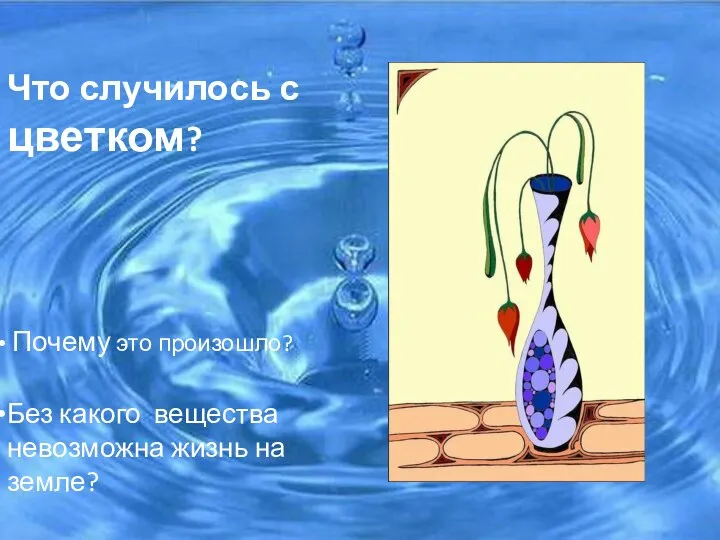 Что случилось с цветком? Почему это произошло? Без какого вещества невозможна жизнь на земле?