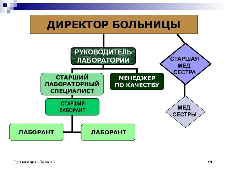 Организация – Тема 18 СТАРШАЯ МЕД. СЕСТРА МЕД. СЕСТРЫ ДИРЕКТОР БОЛЬНИЦЫ