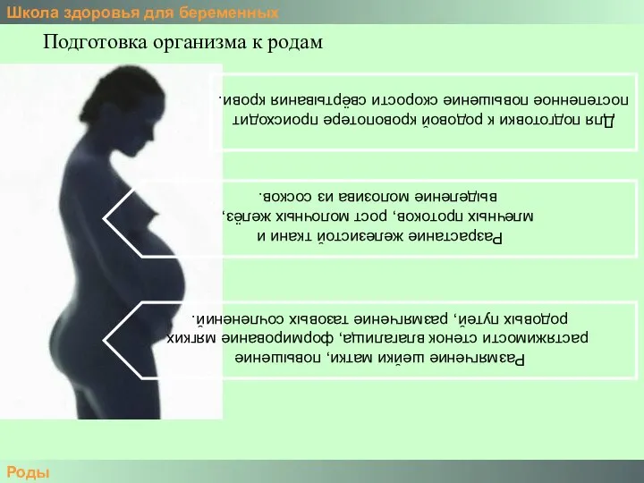 Школа здоровья для беременных Роды Подготовка организма к родам Размягчение шейки