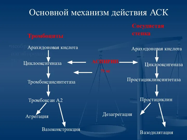 необратимое ингибирование ЦОГ -1 Основной механизм действия АСК Арахидоновая кислота Циклооксигеназа Простациклинсинтетаза