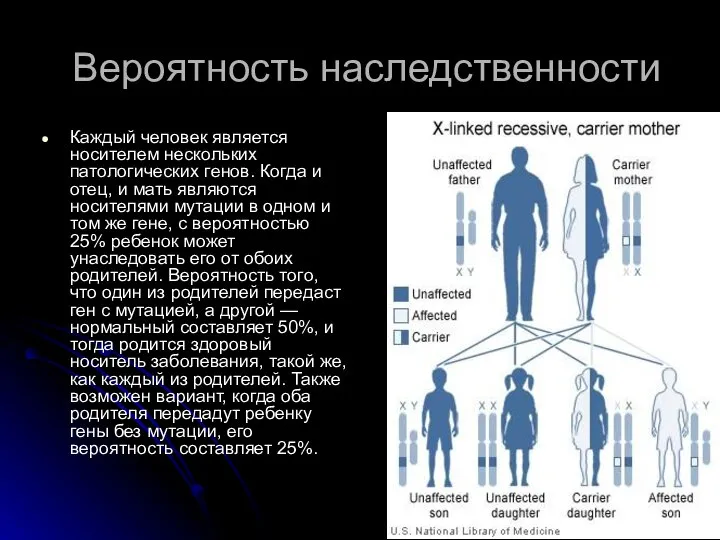 Вероятность наследственности Каждый человек является носителем нескольких патологических генов. Когда и