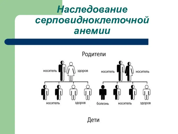 Наследование серповидноклеточной анемии