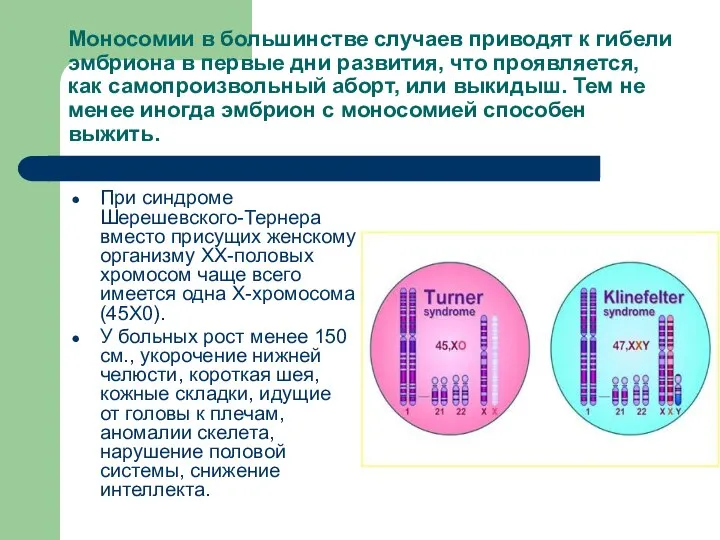 Моносомии в большинстве случаев приводят к гибели эмбриона в первые дни