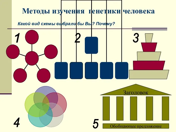 Методы изучения генетики человека Какой вид схемы выбрали бы Вы? Почему? 1 5 4 3 2