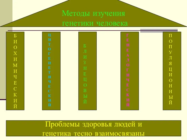 Ц И Т О Г Е Н Е Т И Ч