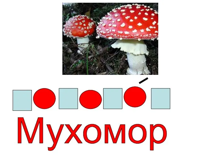 Мухомор