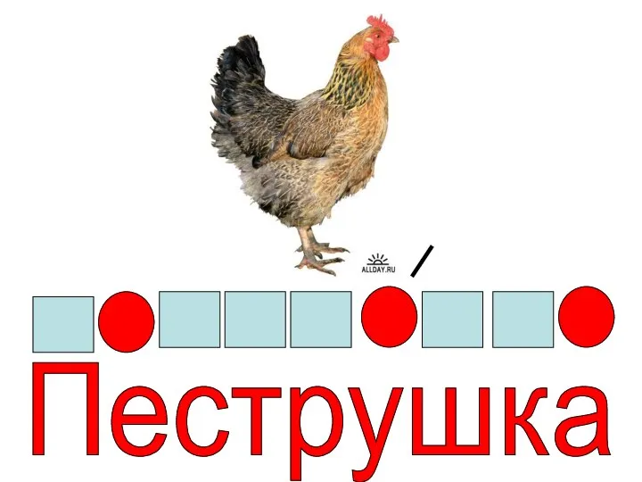 Пеструшка