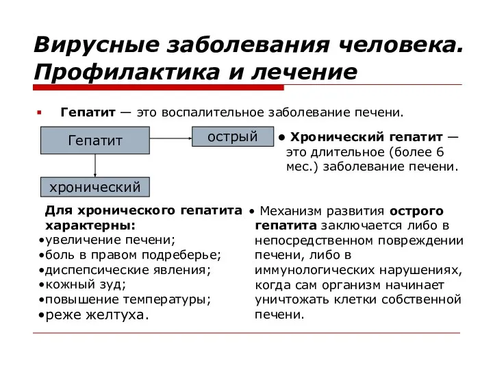 Гепатит — это воспалительное заболевание печени. Вирусные заболевания человека. Профилактика и