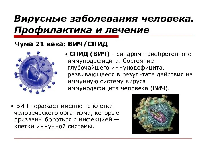 Чума 21 века: ВИЧ/СПИД Вирусные заболевания человека. Профилактика и лечение СПИД