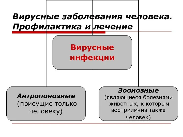 Вирусные заболевания человека. Профилактика и лечение