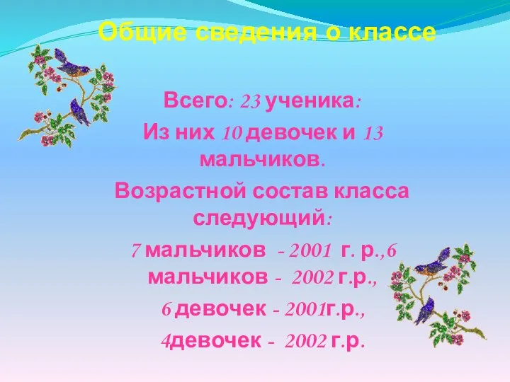 Всего: 23 ученика: Из них 10 девочек и 13 мальчиков. Возрастной