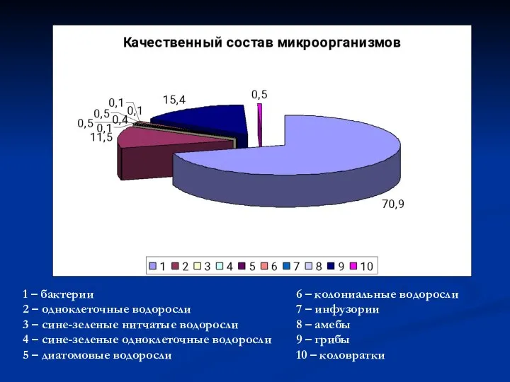 1 – бактерии 2 – одноклеточные водоросли 3 – сине-зеленые нитчатые