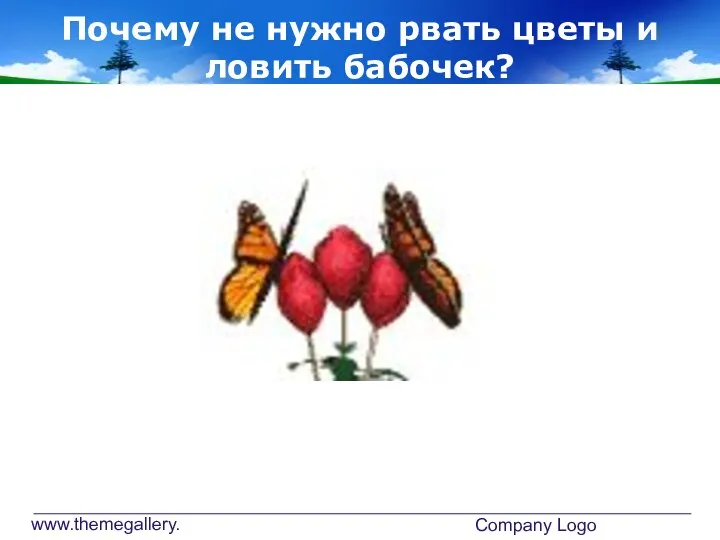 www.themegallery.com Company Logo Почему не нужно рвать цветы и ловить бабочек?