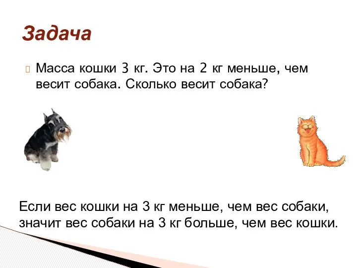 Масса кошки 3 кг. Это на 2 кг меньше, чем весит