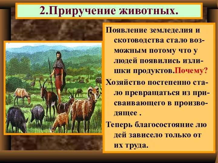 2.Приручение животных. В это же время появилось скотоводство. Мужчины возвращаясь с