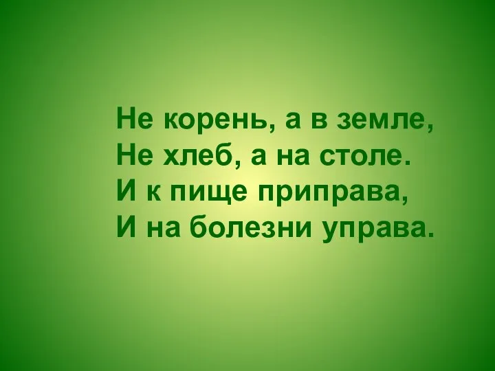 Не корень, а в земле, Не хлеб, а на столе. И