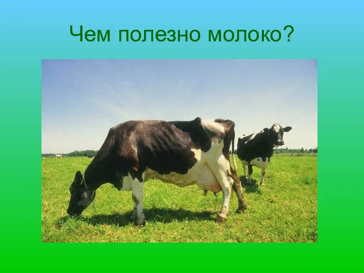 Чем полезно молоко?