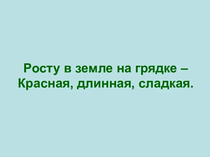 Росту в земле на грядке – Красная, длинная, сладкая.