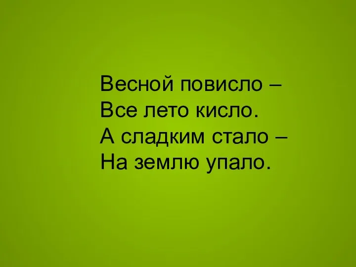 Весной повисло – Все лето кисло. А сладким стало – На землю упало.