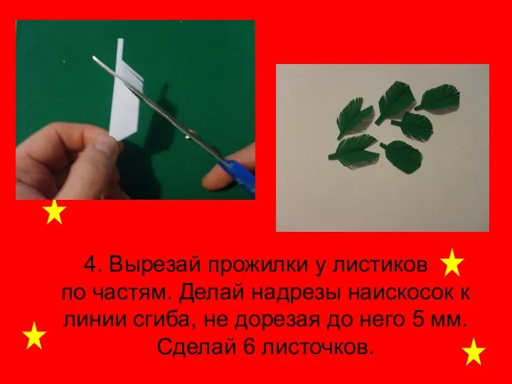 4. Вырезай прожилки у листиков по частям. Делай надрезы наискосок к