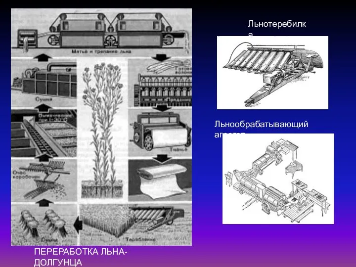 ПЕРЕРАБОТКА ЛЬНА-ДОЛГУНЦА Льнотеребилка Льнообрабатывающий агрегат