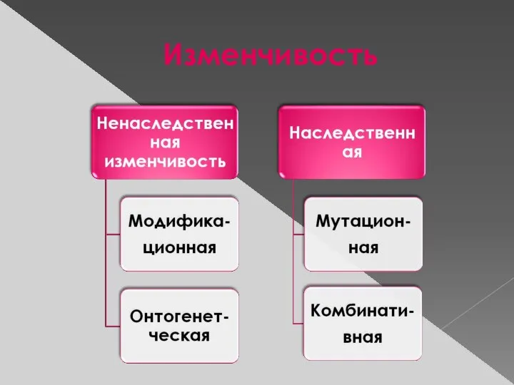 Изменчивость