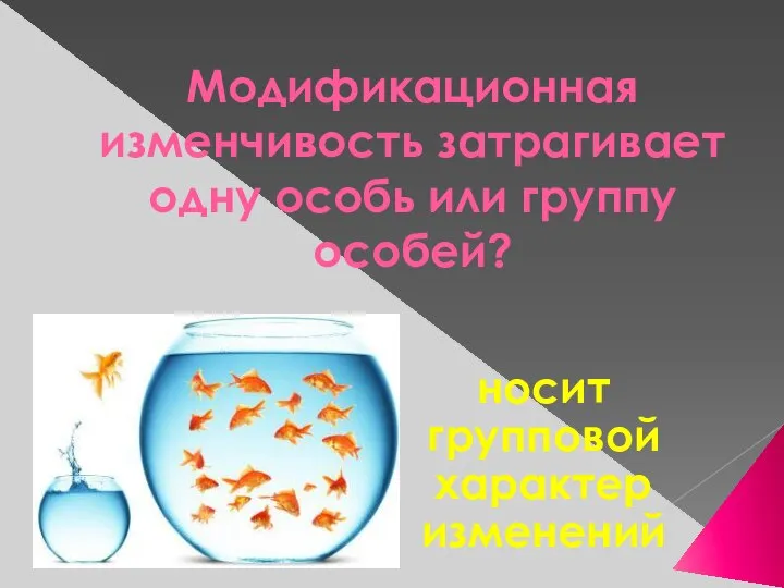 Модификационная изменчивость затрагивает одну особь или группу особей? носит групповой характер изменений