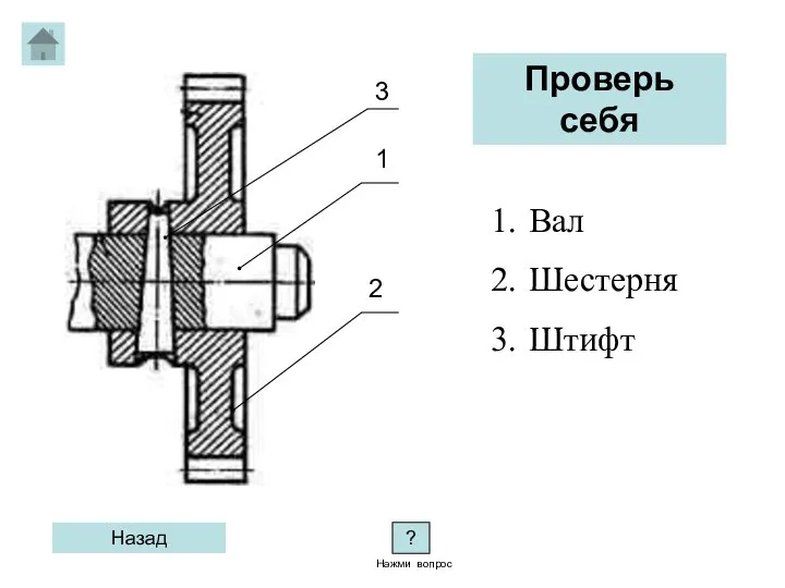 3 1 2 Вал Шестерня Штифт Проверь себя Назад ? Нажми вопрос