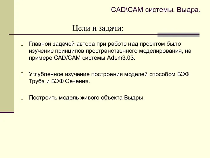 Цели и задачи: Главной задачей автора при работе над проектом было