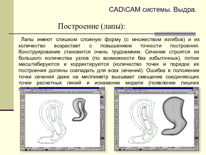 Построение (лапы): Лапы имеют слишком сложную форму (с множеством изгибов) и