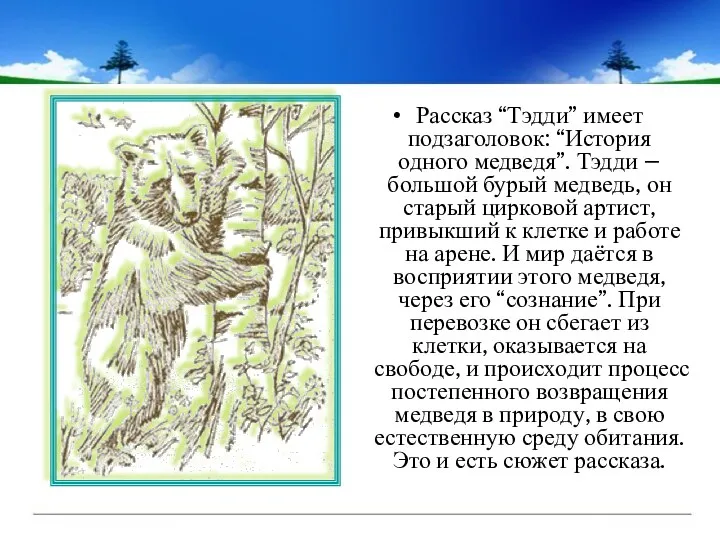 Рассказ “Тэдди” имеет подзаголовок: “История одного медведя”. Тэдди – большой бурый