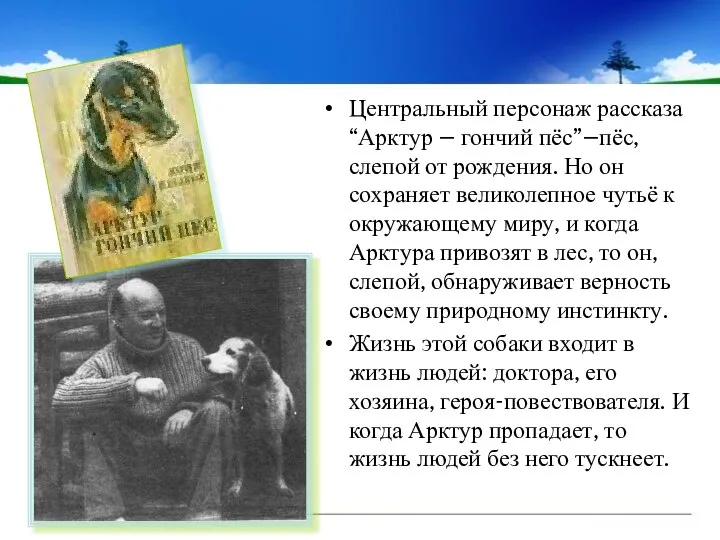 Центральный персонаж рассказа “Арктур – гончий пёс”–пёс, слепой от рождения. Но