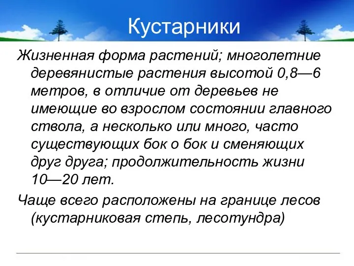 Кустарники Жизненная форма растений; многолетние деревянистые растения высотой 0,8—6 метров, в