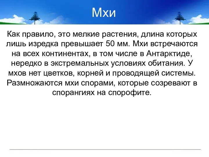 Мхи Как правило, это мелкие растения, длина которых лишь изредка превышает