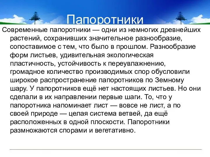 Папоротники Современные папоротники — одни из немногих древнейших растений, сохранивших значительное