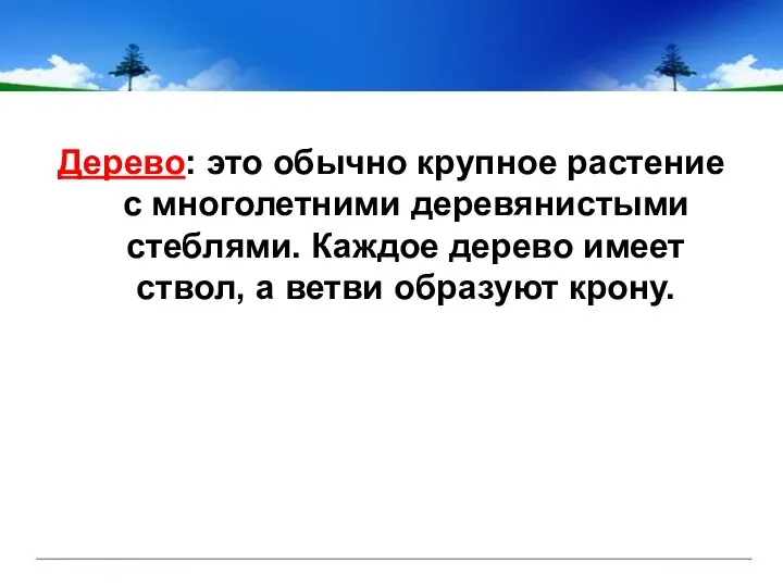 Дерево: это обычно крупное растение с многолетними деревянистыми стеблями. Каждое дерево