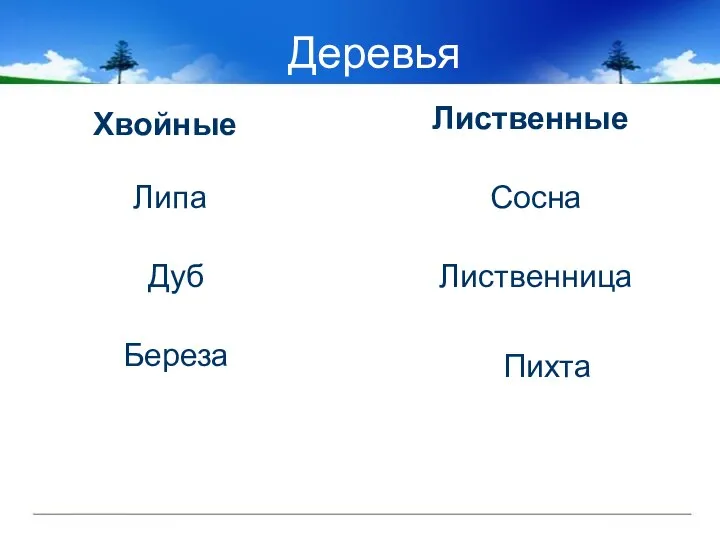 Деревья Хвойные Лиственные Липа Дуб Береза Лиственница Сосна Пихта
