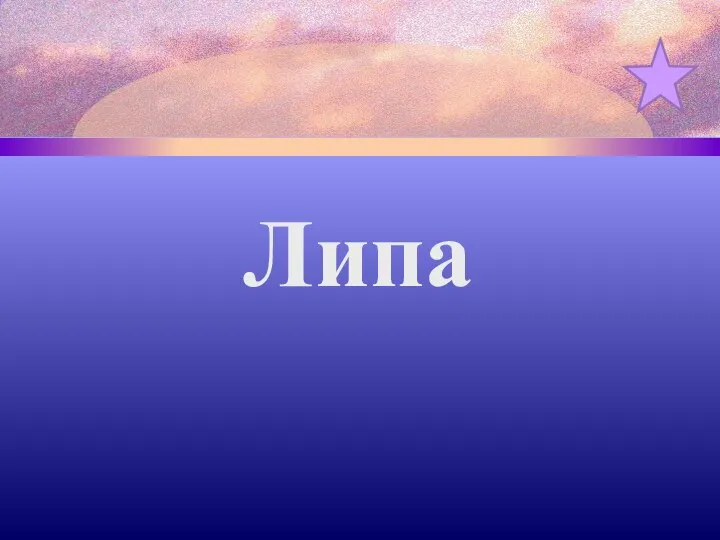 Липа