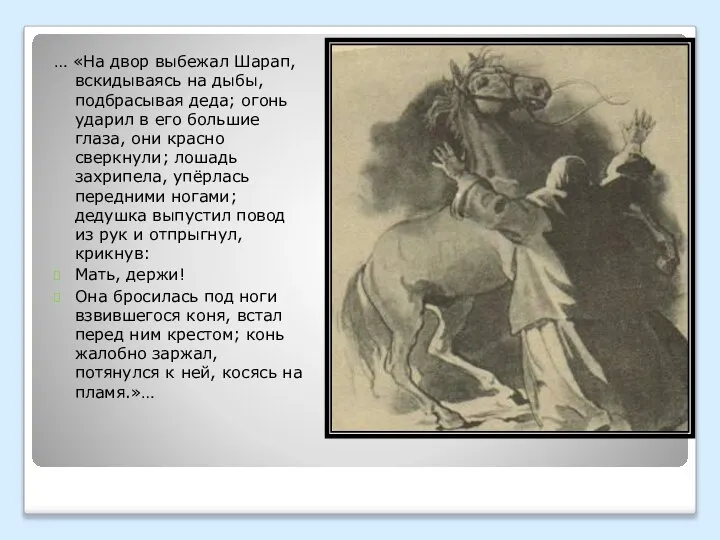 … «На двор выбежал Шарап, вскидываясь на дыбы, подбрасывая деда; огонь